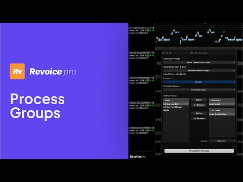 How To Use Process Groups with Revoice Pro 5