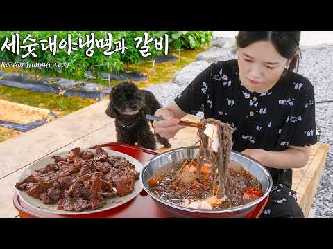 시골 평상에서 세숫대야 냉면에 돼지갈비 시골 평상에서 세숫대야 냉면에 돼지갈비