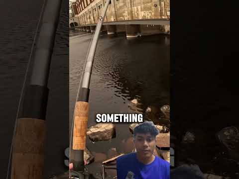 #fishing #carpfishing #fish #bassfishing #pikefishing #muskyfishing