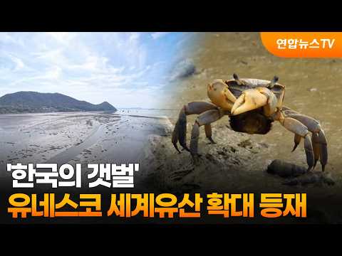 '한국의 갯벌' 유네스코 세계유산 확대 등재 / 연합뉴스TV (YonhapnewsTV)