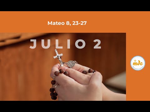 Mt 8, 23-27 - Evangelio del día - Padre Luis Zazano