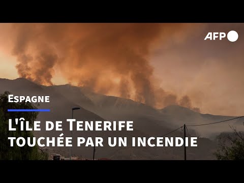 Espagne: images des pompiers luttant contre un important incendie de forêt à Tenerife | AFP Images