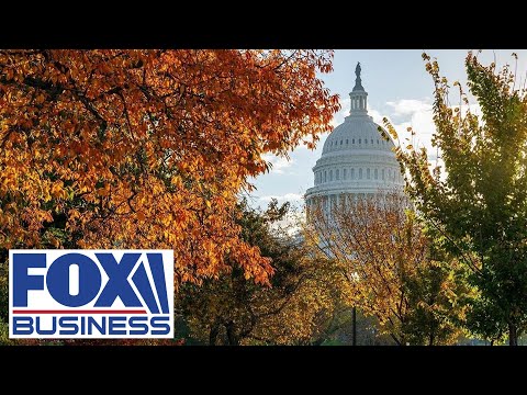 Reed sounds off on leadership over stimulus: Get 'the damn politics out the way' Reed sounds off on leadership over stimulus: Get 'the damn politics out the way'