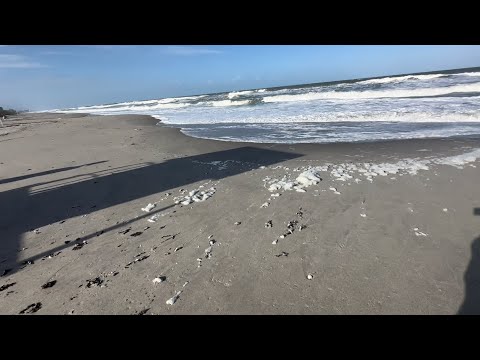 Флорида 🌴 Океан сегодня был живой и грозный… Но как же красиво!👍🏽