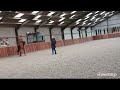 Dressage horse VERKOCHT