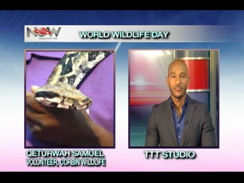Live From Tobago - World Wildlife Day