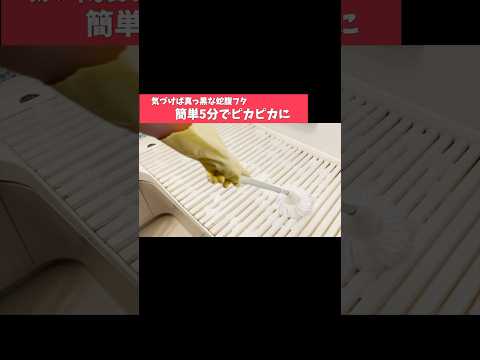 キッチン泡ハイター活用術 お風呂フタの黒カビ一掃