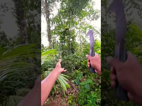 Reality vs slow motion experiment🧨Which one is best? #slowemotion #experiment #superslowmotion