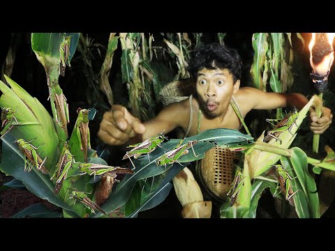 survival in the rainforest- cooking grasshopper with salt recipe