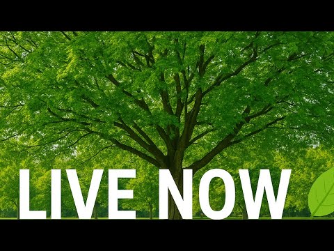 "لايف خفيف معايا 😍 تعالوا نتكلم ونتسلى سوا"Live with me 💬 Let’s chill and have fun together!”