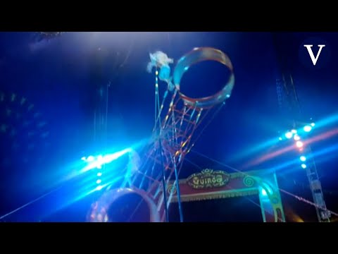 Un trapecista del Circo Quirós cae desde 7 metros durante su espectáculo en Madrid