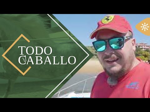 TodoCaballo | La natación, una forma de recreo, descanso y aseo para los caballos