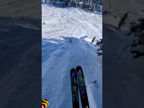 GoPro | Gnarly Straight Line Ski POV 🎬 Colby Stevenson #Shorts #Ski