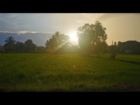 Film-Dubstep-Bass-nostalgic Film-Dubstep-Bass-nostalgic