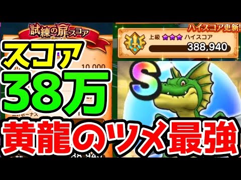 【ドラクエウォーク】試練の扉3週目上級スコア38万出す方法！バトルレックス【ドラゴンクエストウォーク】