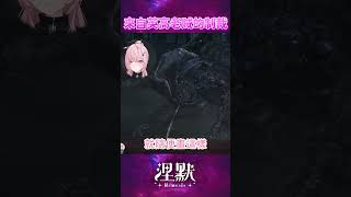 【說錯話了】看起來很像隨便畫出來的【涅默Nemesis】
