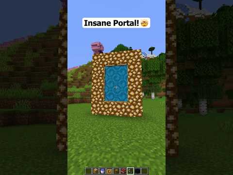 Minecraft Portal Crazy Trick