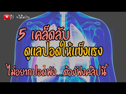 🎯-5-เคล็ดลับดูแลปอดให้แข็งแรง- 🎯-5-เคล็ดลับดูแลปอดให้แข็งแรง-
