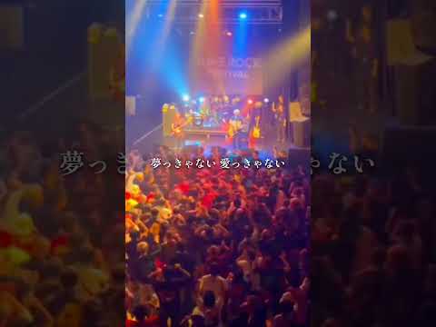 フェス呼んでください #プピリットパロ #邦ロック #バンド #音楽 #ライブ #shorts #short #ゴッドタン #エンディング #メロコア #フェス　