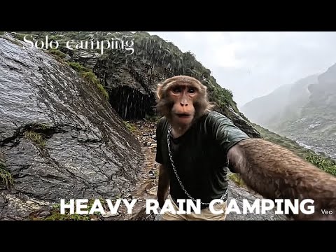 🌧⛰ Rainstorm Cave Camping with Monkey | Cozy Fire & Food Vibes 🐒🍲 #monkeyvlog #aimonkeyvlog