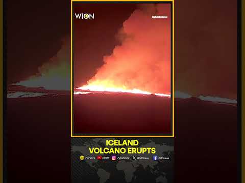 Iceland Volcano Erupts For The Tenth Time In Three Years | WION Shorts