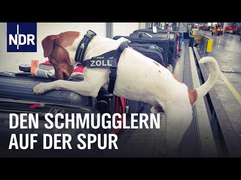 Schmuggelware? Mit dem Zoll am Hamburg Airport | Die Nordreportage | NDR Doku