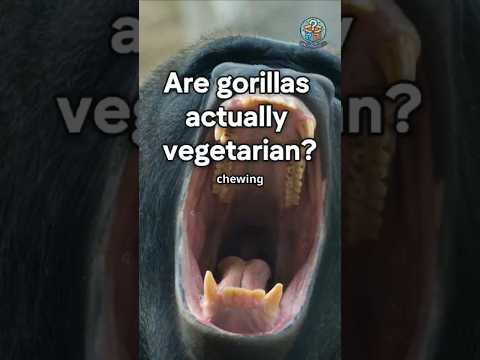Are gorillas actually vegetarian?