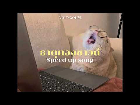 catnextd%r ธาตุทองซาวด์YOUNGOHMft.SONOFOspeedup