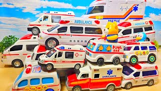 動画サムネイル