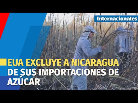 EEUU excluye a Nicaragua de sus importaciones de azúcar