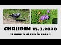 Městský park v Chrudimi - krátká procházka - 15.3.2020