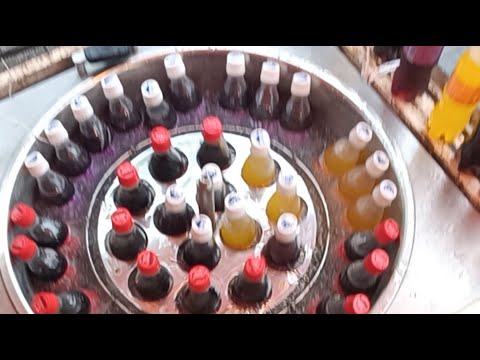 広島最大フェス🏵️
