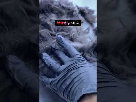 مشاكل تشابك الشعر للقطط والكلاب #طبيب_بيطري #cat