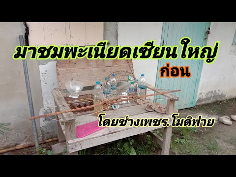 เสร็จแล้วครับ...พะเนียดเซียนให เสร็จแล้วครับ...พะเนียดเซียนให