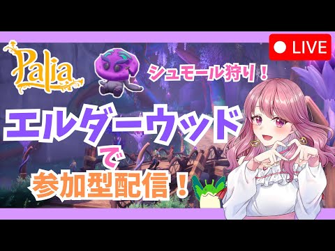 【Palia】シュモールぬいリベンジ！🏹🍄🍄🍄（第118回パリアライブ配信）【パリア】【ライブ配信】