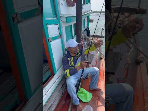 Small fish 🐠 #shortvideo #reels #trending #fishing #cooking #foodpreparation #food #funny