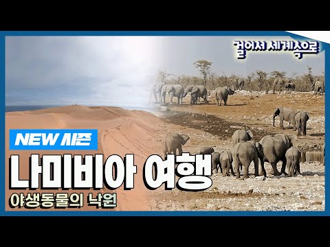 [✨NEW✨#걸어서세계속으로📺] 세계에서 가장 오래된 사막을 가진 나라 '나미비아' 여행' Trip to Namibia (KBS_20230916)