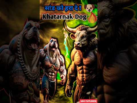 Top 5 Best Monster Dog Breeds 😱 जो सांड को भी हरा दे!|#shorts #dangerousdog