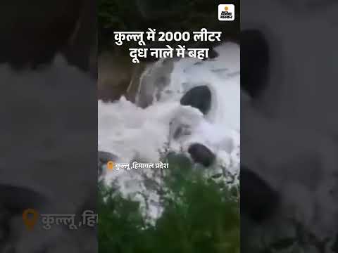 Himchal Pradesh : कुल्लू में 2000 लीटर दूध नाले में बहा | Kullu News