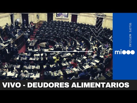 DIPUTADOS TRATA EL REGISTRO NACIONAL DE DEUDORES ALIMENTARIOS Y OTROS PROYECTOS - Telefe Noticias