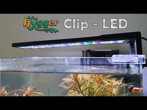 hygger HG 076 Clip - LED (172)