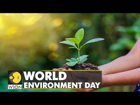 🌎World Environment Day: Impact of climate change all around us | World English News | WION