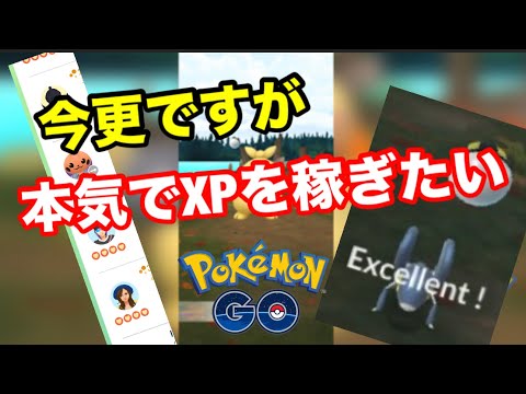 一瞬だけでもガチっぽいトレーナーに見られたい【ポケモンGO】