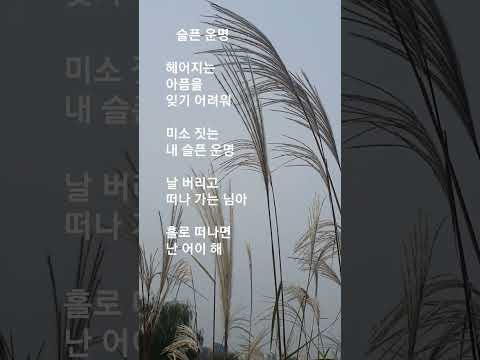 #슬픈 운명   #송창식 #원곡:브라운 앤 다나 #Brown & Dana  #Ace of Sorrow  #헤어지는 아픔을 잊기 어려워.....   #허무한 마음 가득 찼네