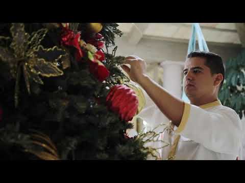 St. Regis Punta Mita Resort - Christmas Tree Lighting