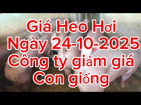 Công ty giảm giá con giống