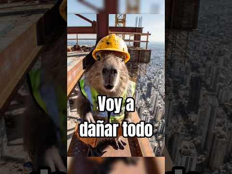 No se porque trabajo gratis #capybara #shortsvideo #2025