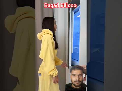 #cat #funny #cute #funnycats #cats #amazingmemes #funnyanimals #comedy #catmemes #catphotos