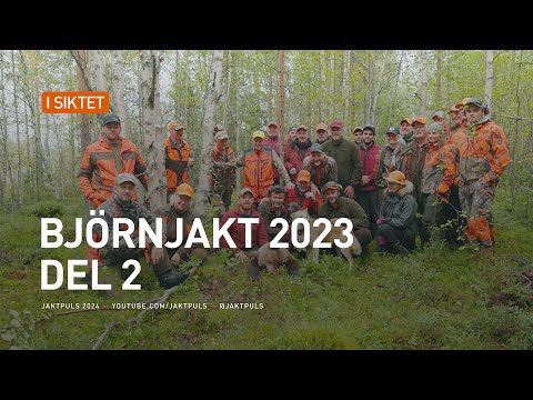 Björnjakt 2023 del 2