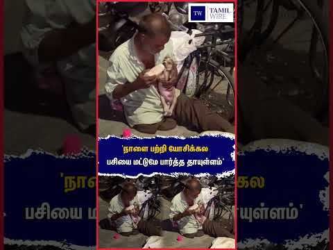 'நாளை பற்றி யோசிக்கல பசியை மட்டுமே பார்த்த தாயுள்ளம்' #Puppy #Feeding #Humanity #<strong>Animals</strong> #viral